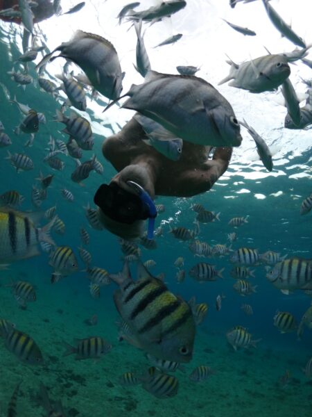 joven haciendo snorkel en cozumel con muchos peces a su alrededor, como parte del tour en lancha transparente cozumel