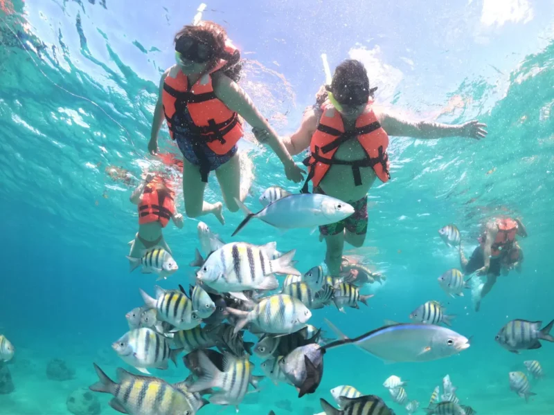 Pareja de turistas con chalecos salvavidas haciendo snorkel rodeados de peces tropicales disfrutando de la vida marina en Cozumel.