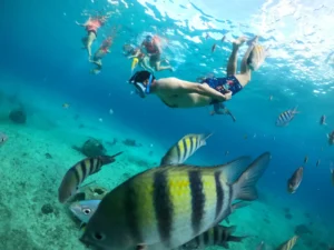 varios turistas haciendo snorkel en arrecife villablanca