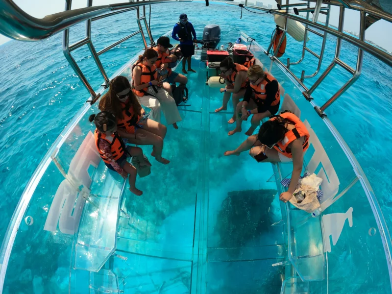 Strike a Pose: The Ultimate Instagrammable Clear Boat Tour in Cozumel 2 vista submarna de lancha transparente en cancun