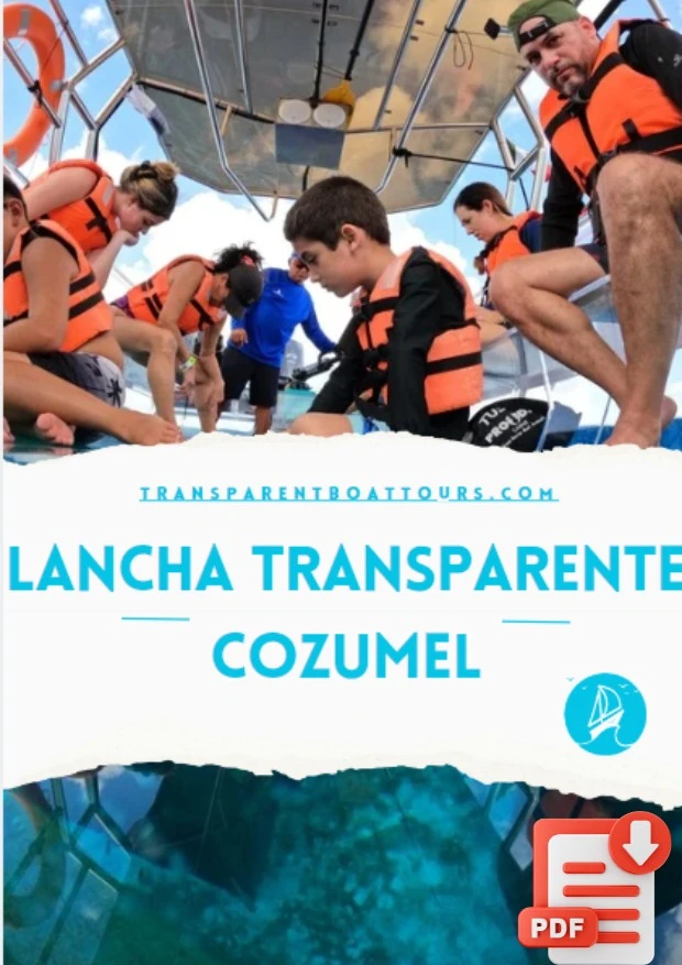 portada de la infografía del tour en lancha transparente cozumel