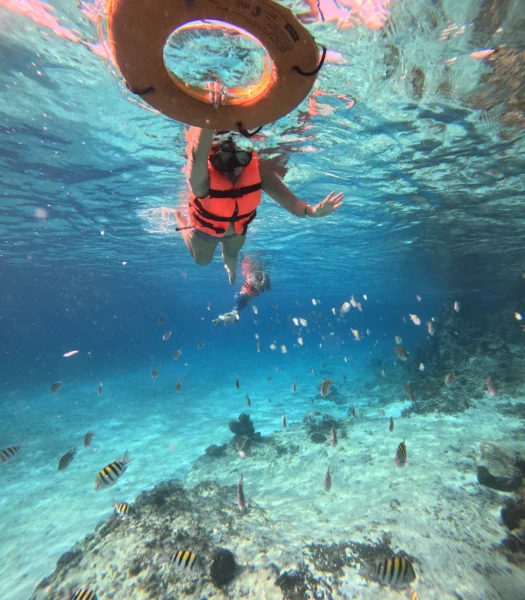 mujer haciendo snorkel con peces en arrecife de coral