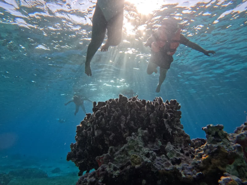 Explora el Mundo Submarino de Cozumel