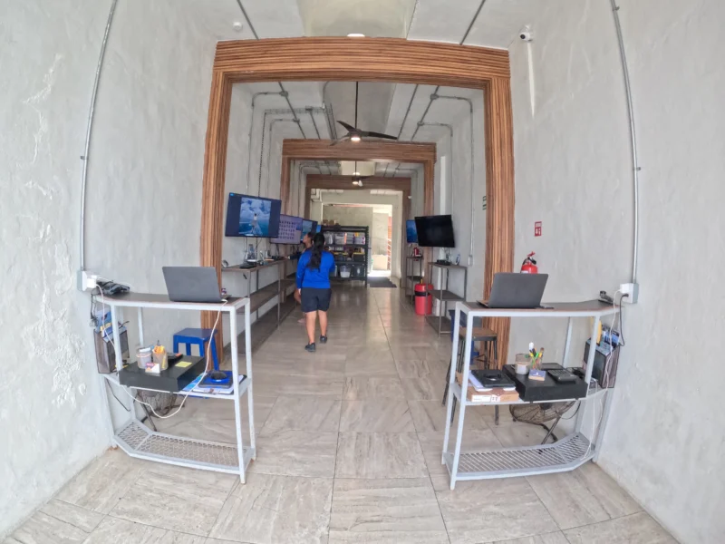 transparent boat tours cozumel office