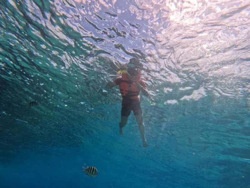 Underwater view looking up at a person snorkeling on the surface as sun rays shine through the clear blue water with tropical fish swimming nearby.