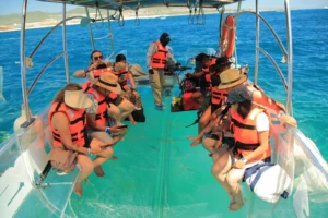 Grupo de turistas en el tour al Arco de Los Cabos, observando el fondo marino a través del suelo de cristal del barco transparente.