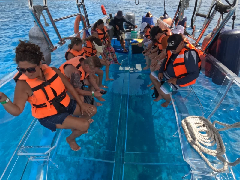 Una Aventura para Todos: El Mejor Tour Familiar en Cozumel