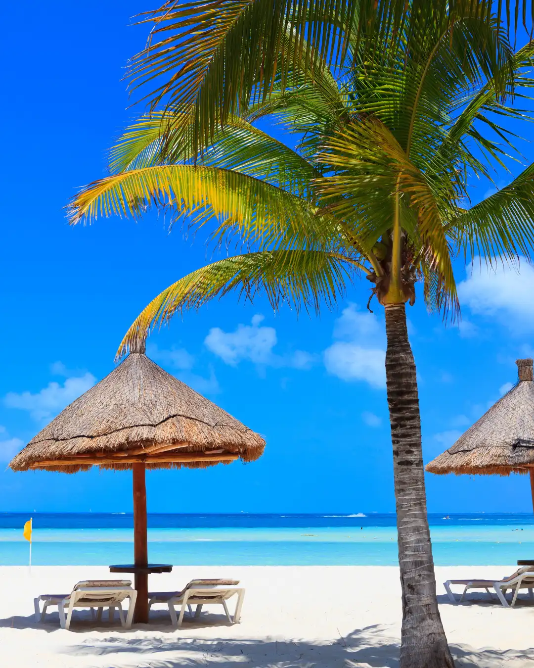 Playa Delfines in Cancun, one of the things to do before Cancun Marathon